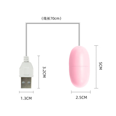 USB Rechargeable Egg Vibrator for Women